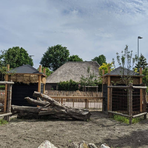 konijnen hooiberg met loopbrug voor geiten hooiberg houten deur ook geschikt voor vlaamse reus voldux